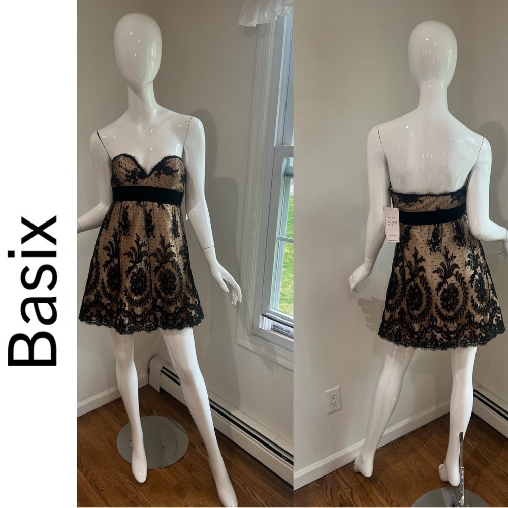 NWT BASIX II Lace Sweetheart Babydoll  Party Cocktail Mini Dress Micro Mini